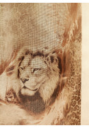 Тюль "Lion" 31113 коричневый
